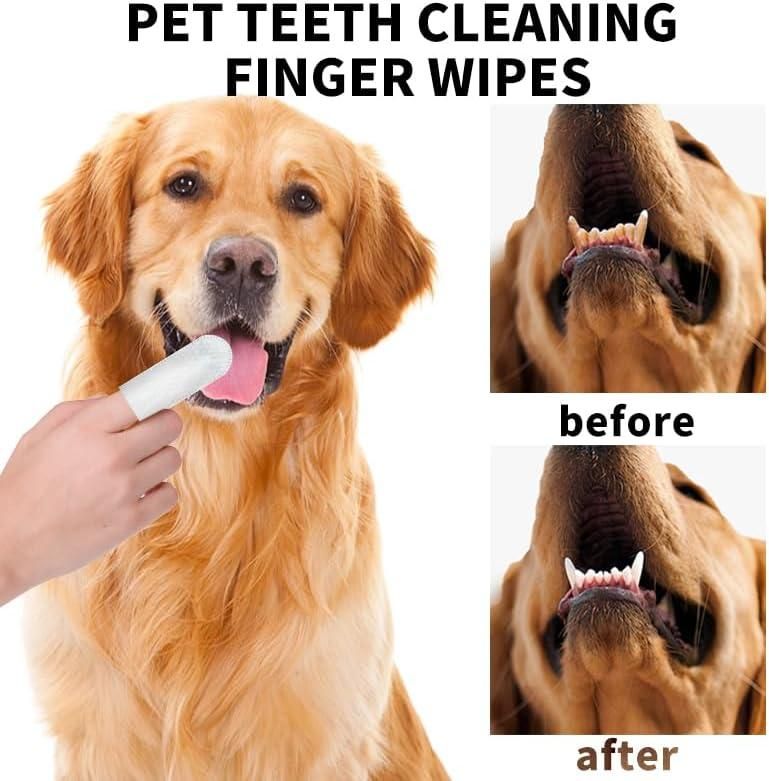 Dog using pet teeth cleaning finger wipes with 'before' and 'after' views of its mouth.