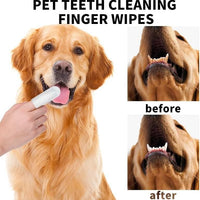 Dog using pet teeth cleaning finger wipes with 'before' and 'after' views of its mouth.