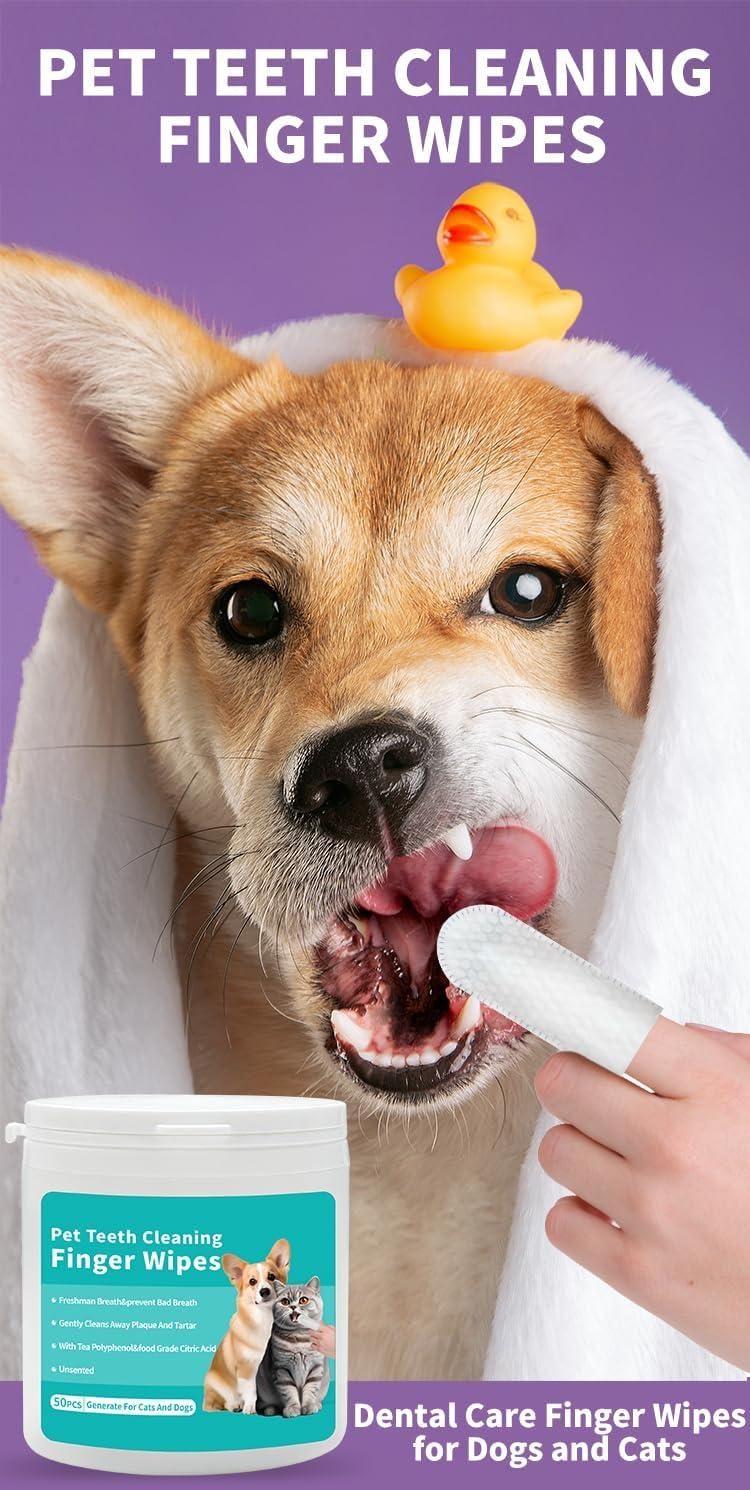 Dog with a rubber duck on its head, using pet teeth cleaning finger wipes with a purple background.